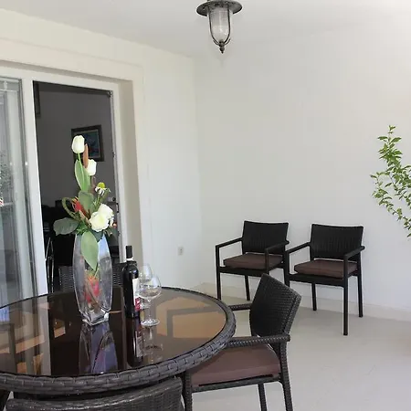 House Pine Tree Holiday home Nerezisca