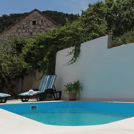 House Pine Tree Nerezisca