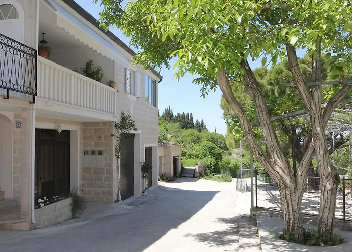 House Pine Tree Vakantiehuis